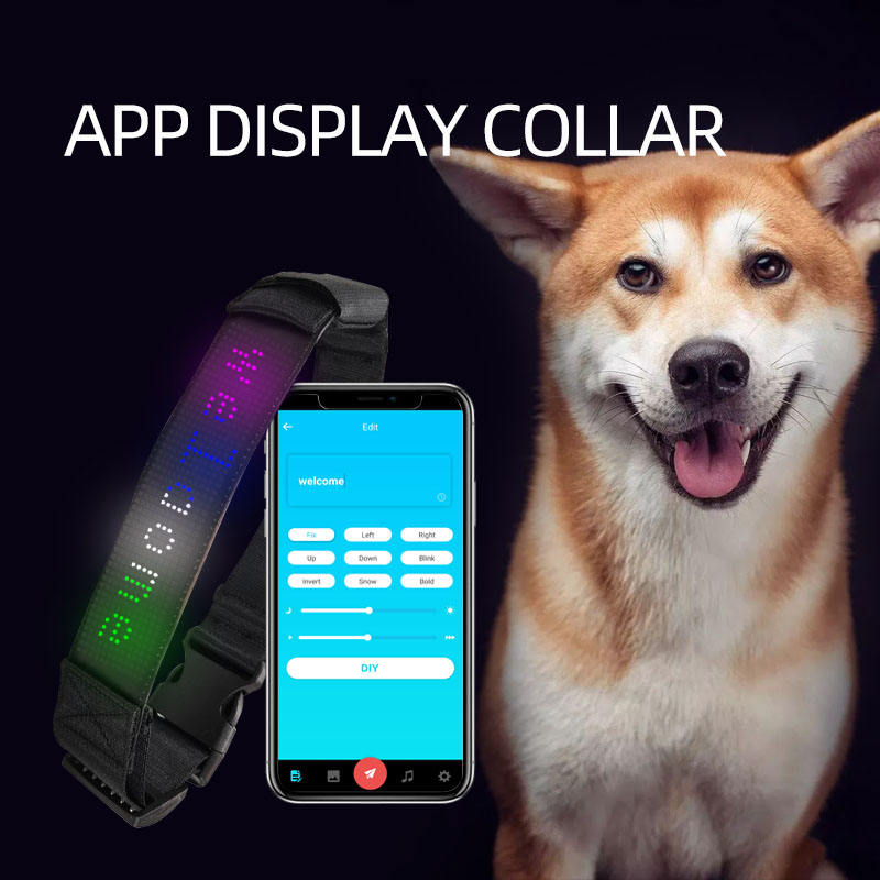 LED Smart Display Dog Collar – Customisable & Rechargeable