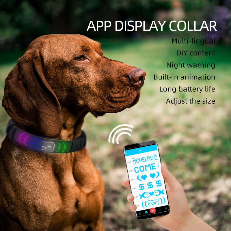 LED Smart Display Dog Collar – Customisable & Rechargeable