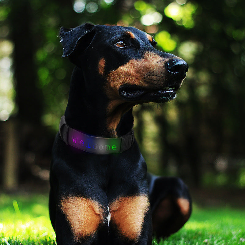 LED Smart Display Dog Collar – Customisable & Rechargeable